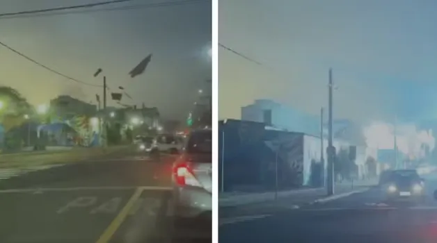 Chuva e ventos fortes causam quedas de árvores e estragos na região