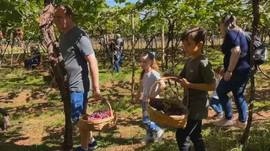 Turismo rural ganha força e transforma o Noroeste Paulista em destino de experiências