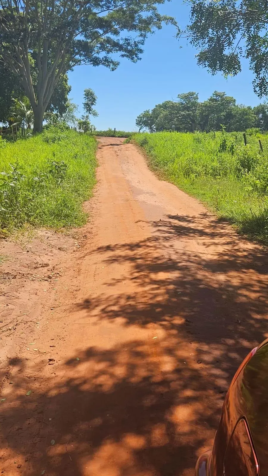 Estradas rurais de Palmeira d’Oeste chegam ao limite e produtores cobram providências