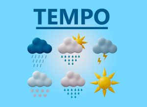 06081744_Previso_do